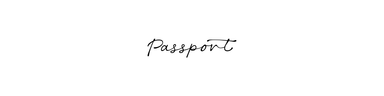 passport　ヴァンダラストの冊子本